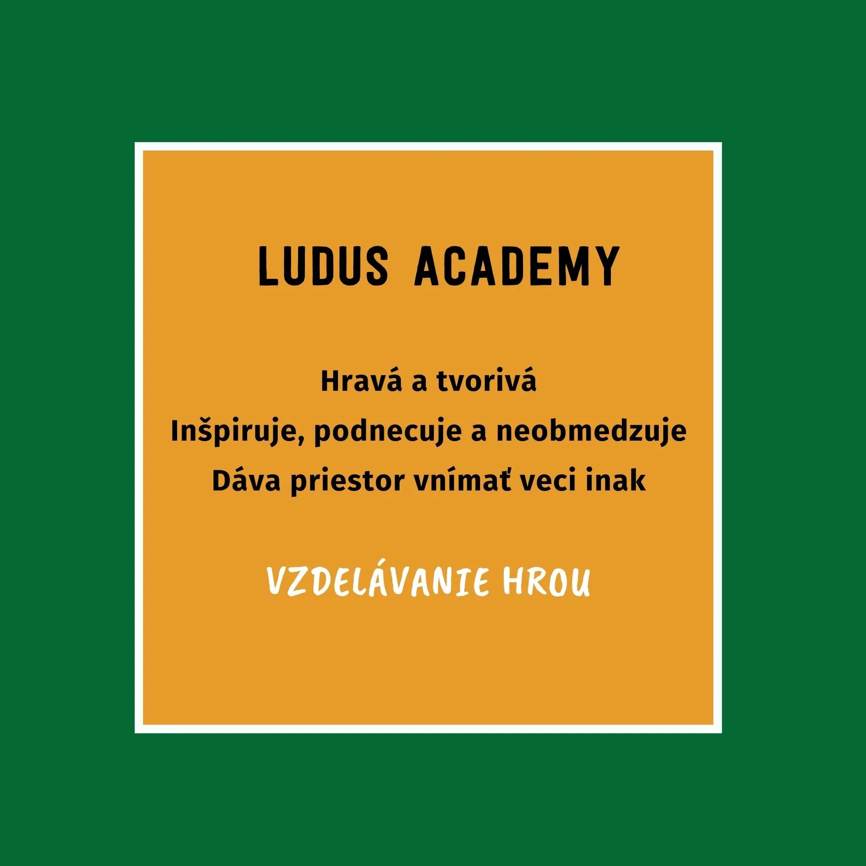Ludus Academy Program